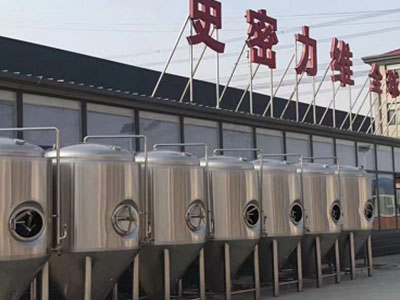 独山精酿啤酒设备厂—市场规模与跨界新需求
